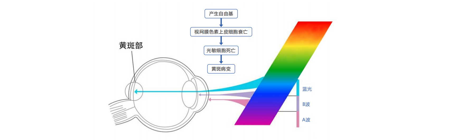 QQ截图20190808143016.png